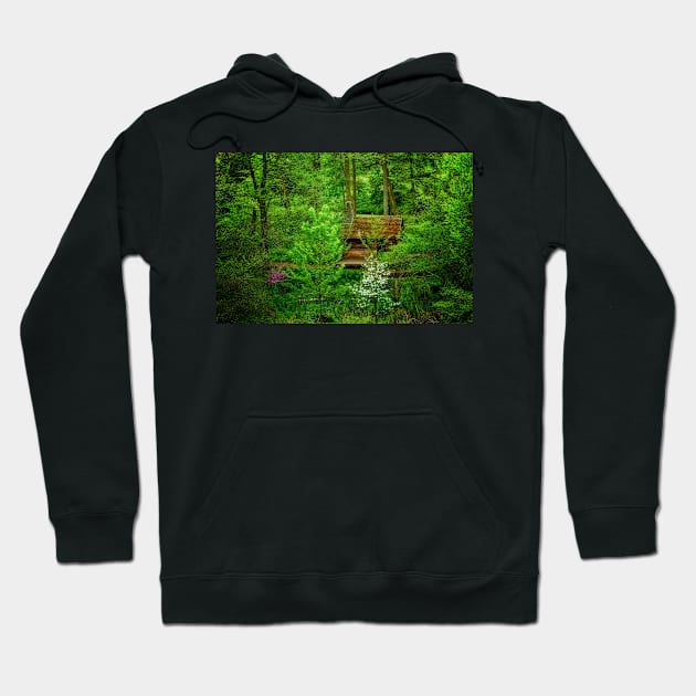 A Cabin In The Woods Hoodie by JimDeFazioPhotography
